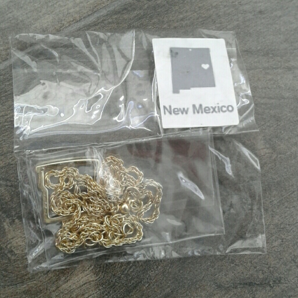Brand new new Mexico shape state necklace gold